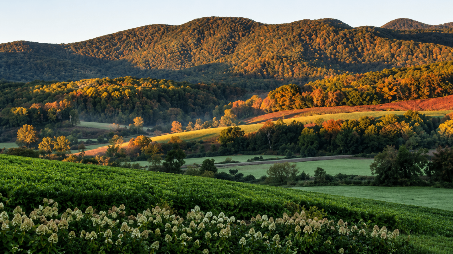 Blue Ridge mountains near Hillsville during golden hour